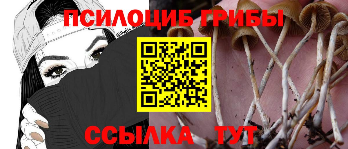Нарткала  Псилоцибиновые грибы Psilocybine cubensis  Вход с VPN 