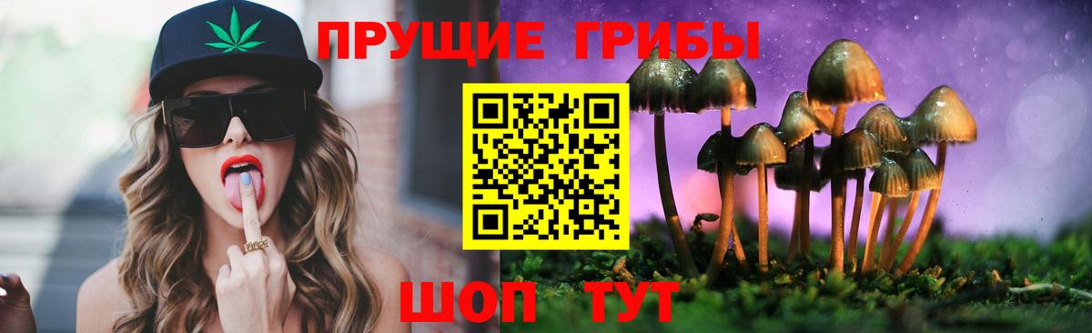 Галлюциногенные грибы прущие грибы Нарткала